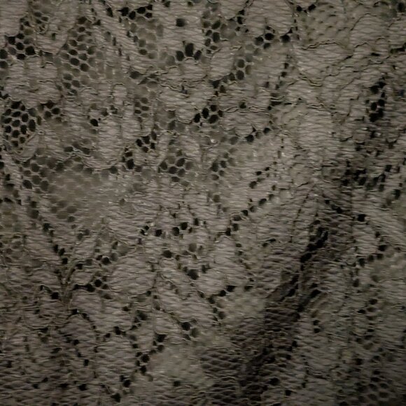 Liz Claiborne Knee Length Lace Dress - Picture 3 of 3